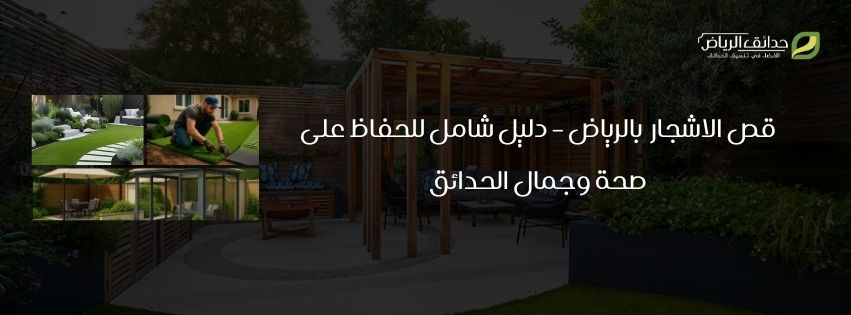 قص الاشجار بالرياض – دليل شامل للحفاظ على صحة وجمال الحدائق
